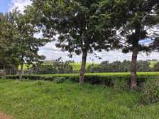 Land at Tigoni