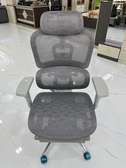 Office Chair; Ergonomic Mesh Office Chair in Suneka