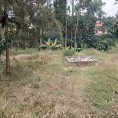 PRIME 1.5-ACRE LAND FOR SALE IN THINDIGWA, KIAMBU