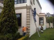Paint Contractors