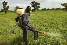 Fast Pest Control & Fumigation Thindigua | Kiambu Road