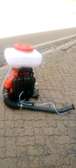 Aico mist blower