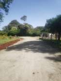 Beautiful Half Acre Land in Karen