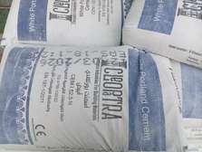 Cleopatra white cement