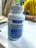 Glucosamine chondroitin