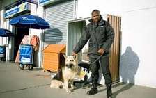 Security Services in Ruiru | 24/7 Professional Guards