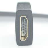 Mini HDMI Male to HDMI Female Adapter