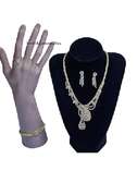 Ladies jewelry set