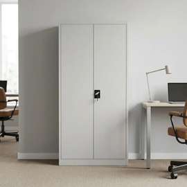 2-Door Metallic Office Cabinet