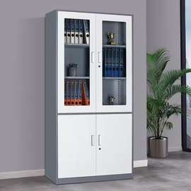 Half Glass and Steel Door Office Cabinet