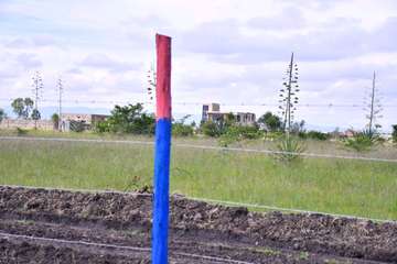 50by100 plot at Joska Malaa