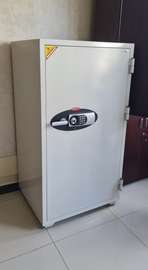 530EK Diplomat Digital Combination 53kg Cabinet