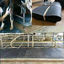 Cow Matress