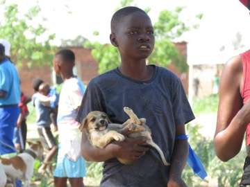 Mobile Veterinary Services in Nairobi