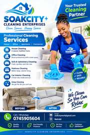 Sofa cleaning
