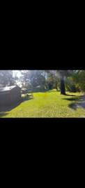 Spacious Land Plot with Mature Trees and Flat Terrain