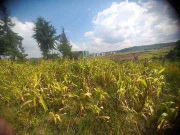 Prime Fertile Agricultural Land with Sunlight & Drainage