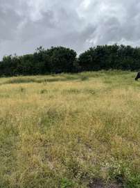 3 prime plots for sale