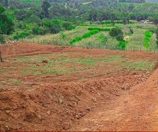 Prime 50x100 Plots near Tarmac Road in Nachu-Ndiguini Road