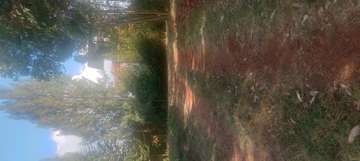 Spacious Plot Flat Terrain Easy Access