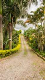 Landscaping design solutions