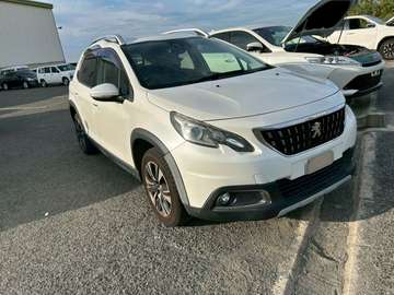 PEUGEOT 2008,2018 MODEL