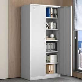 Premium 2-Door Steel Office Cabinet