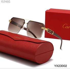 DESIGNER SUNGLASSES