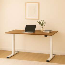 120cm Electric Height Adjustable Desk