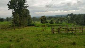 Agricultural Land with Mature Trees and Access Roads