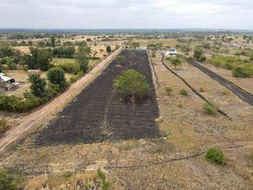 50 by 100 PRIME PLOTS FOR SALE IN MAKUTANO PI (MWEA)