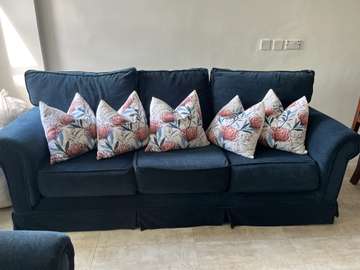 Gently Used strong sofa