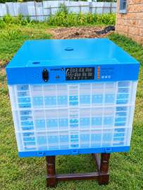 192 Eggs Both AC and Dc Automatic Incubator