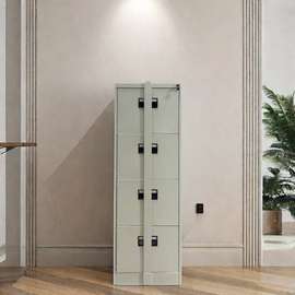 Office Cabinet : 2-Door Metallic File Cabinet with Lock