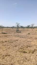 2.5 acres- Land for sale in Laikipia - Ngobit, Makutano area
