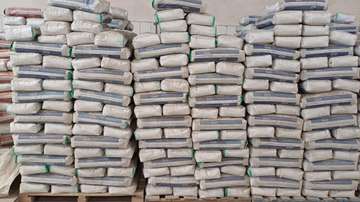 Bulk tile Cement High-Quality Durable Supply