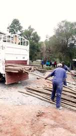 Gum poles for construction ,fencing or landscaping