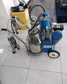 Double bucket milking machine