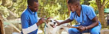 Mobile Veterinary Services in Karen, Nairobi