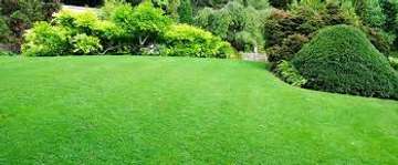 Expert Lawn Mowing & Garden Maintenance Limuru Tigoni