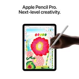 iPad Air 256GB wifi+cellular