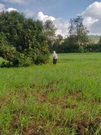 50*100 plots for sale in matuu
