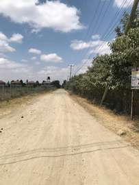 1(one) Acre Land with Dirt Road Access for Development