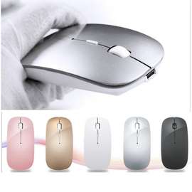 Rechargable mouse