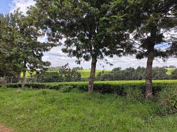 Land at Tigoni