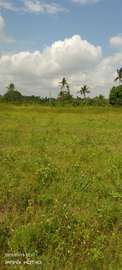 Prime land for sale in kaloleni kilifi(msa)