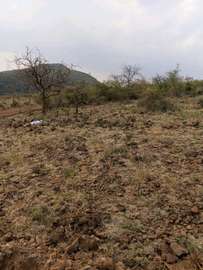 5ac land sale in Ndeiya Nguirubi for plot subdivision