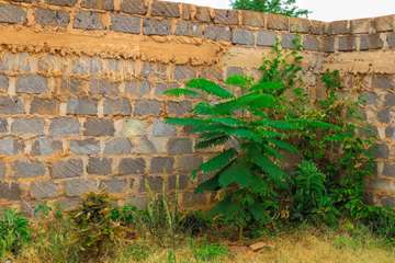 Natural Stone Garden Wall Earth Tones Durable