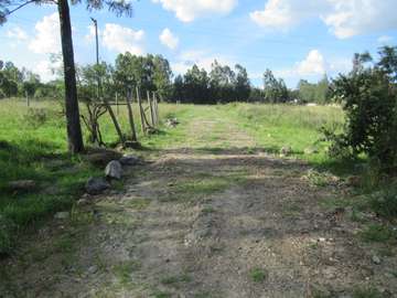 0.5-Acre Plots for Sale in Karen