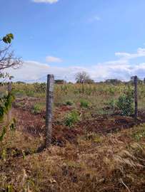 Land for sale in Taveta- Taita Taveta county.